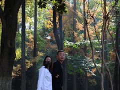 -绵阳人民公园(涪城区)