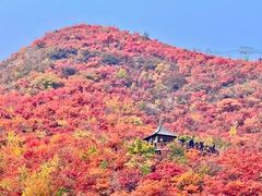 -周口店坡峰岭风景区