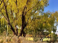 -昆山城市生态森林公园