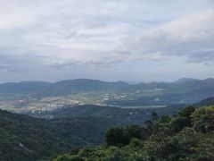 -三亚亚龙湾人间天堂鸟巢度假村