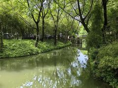 -西溪国家湿地公园