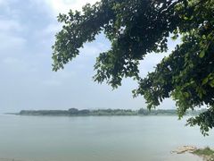 -八仔大富楼·河鲜(西江店)