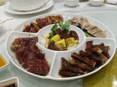 马冈鹅大全-鹅城