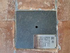-碧江金楼