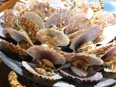 -前海沿·青岛菜(大拇指广场石老人店)