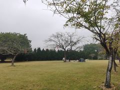 -南沙蒲洲花园