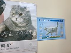 -艾贝尔宠物医院 ·内科全科(梁溪路店)