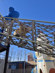 -萌宠亲子动物乐园(槐房万达店)