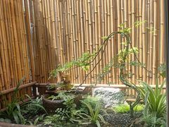 -懒人盐府人家·自贡大麻鱼(安贞店)