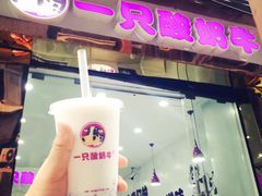 -一只酸奶牛(八一路店)