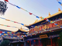 -西安市广仁寺