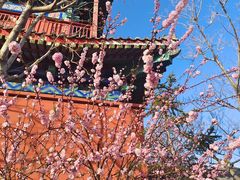 -天津妈祖文化园
