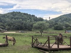 -大水川景区