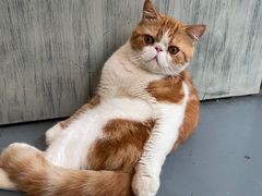 -臻鲜燕海鲜融合餐厅(金陵style店)