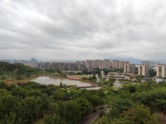 -飞凤山奥体公园