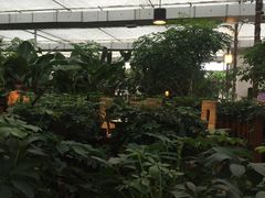 -汤山翠谷生态餐厅