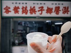 -洪馨椰子