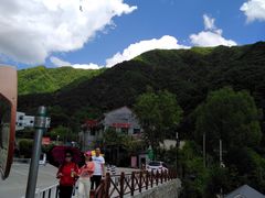 -王顺山国家森林公园