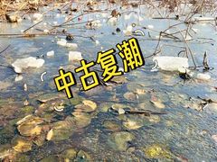 -莲湖公园
