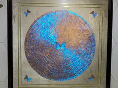 -上海昆虫博物馆