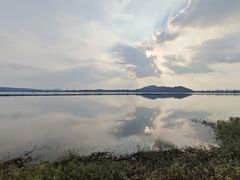 -湖滨客舍·湖北菜