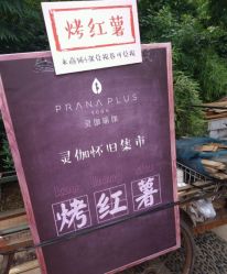-灵伽瑜伽