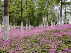 -汉长安城未央宫国家考古遗址公园