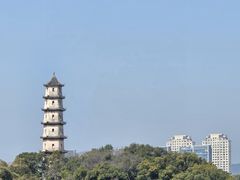 -江心屿景区