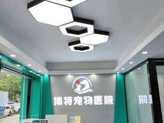 -博特宠物医院24h犬猫全科.骨科·异宠