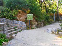 -大岭沟猕猴桃谷风景区