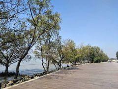 -宝安西湾红树林湿地公园