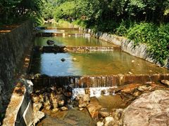 -广州白江湖森林公园