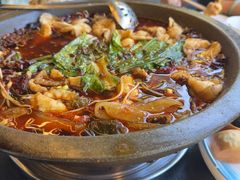 -都江堰石锅鱼