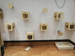 -猫色咖啡·猫咖