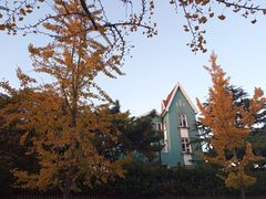 -八大关景区