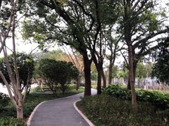 -新江湾城公园