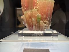 -安徽省地质博物馆