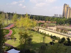 -府河摄影公园