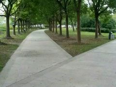 -南汇嘴观海公园