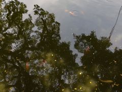 -潮州西湖