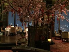 -金轩中餐厅 Jin Xuan(浦东丽思卡尔顿酒店)