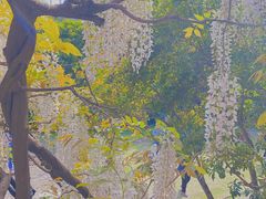 -狼山风景名胜区