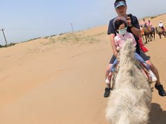-银肯塔拉沙漠生态旅游景区