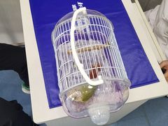 -博特宠物医院24h犬猫全科.骨科·异宠