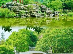 -顺峰山公园