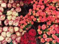 -昆明冠生园·蛋糕·面包(南强街店)