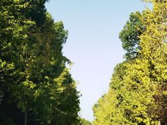 -黄陂区野村谷景区
