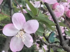 -同济大学-北苑食堂