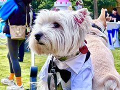 -上海神旺大酒店