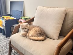 -争渡心理咨询全国连锁(福田店)